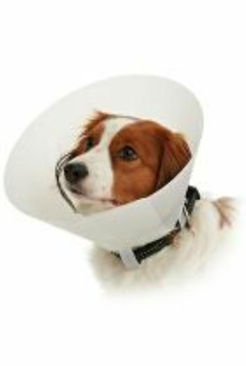 Ochranný golier BUSTER nepriehľadný Classic Collar 15cm