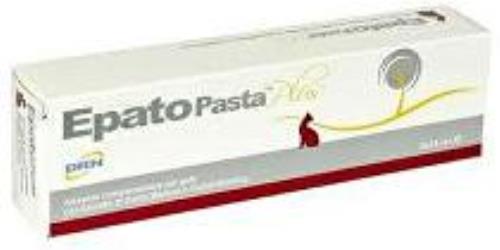 Epato pasta plus 2x15ml