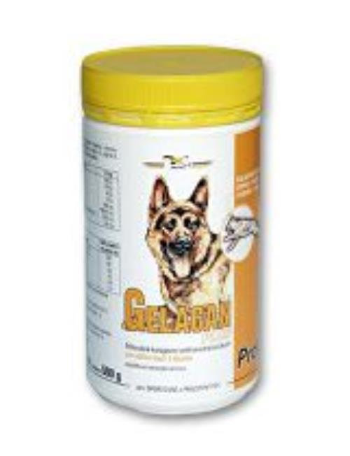 Gelacan Profi 500g