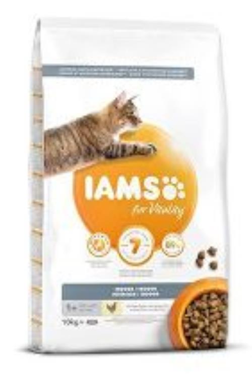 Iams Cat Adult IND Chicken 10kg