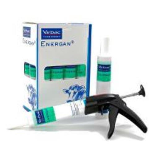Energan Ketose 12x300g + Doprava zadarmo