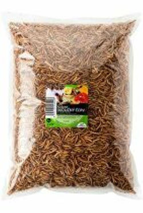UGF sušené múčne červy 1kg