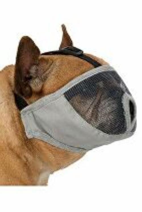 Náhubok pre krátkonosé plemená M /40cm polyester TR