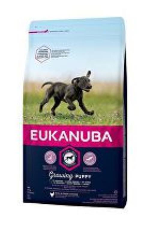 Eukanuba Dog Puppy&Junior Large 15kg