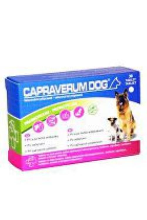 CAPRAVERUM DOG probioticum-prebioticum 30tbl