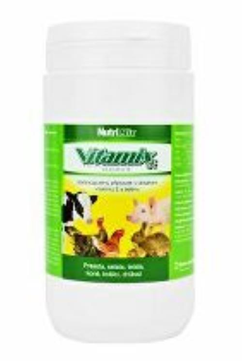 Vitamix SE plv 1 kg