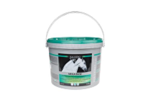 Equistro Mega Base 10 000g + Doprava zadarmo