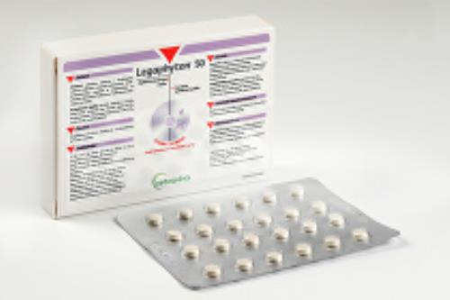 Legaphyton 50mg 24tbl 1 + 1 zadarmo