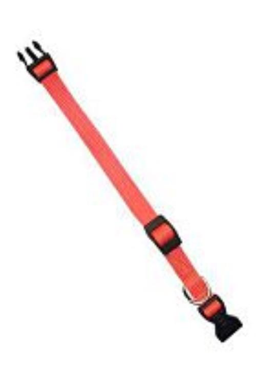 Obojok nylonový CLUB C 32cmx10mm oranžový FP 1ks