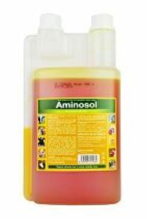 Aminosol sol 1000ml