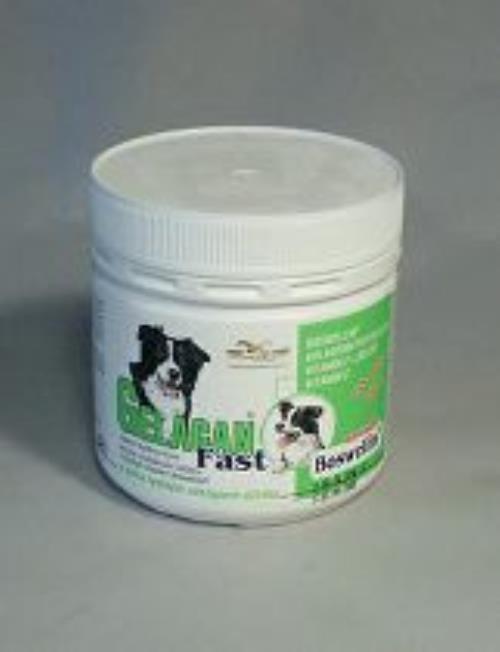 Gelacan Fast 150g