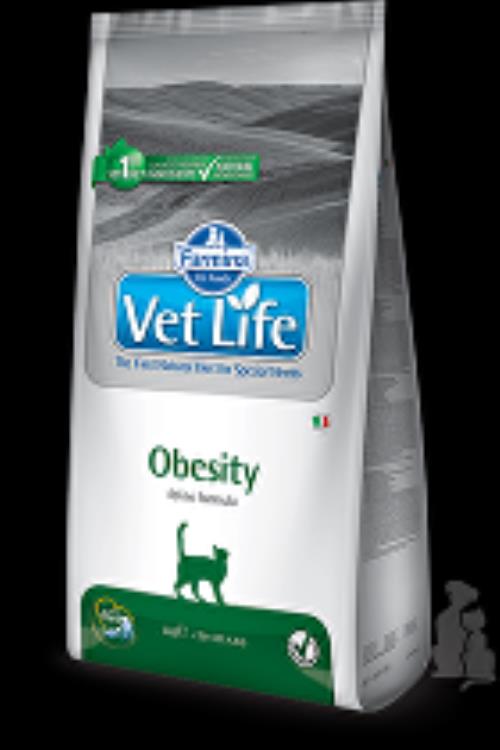 Vet Life Natural CAT Obesity 400g
